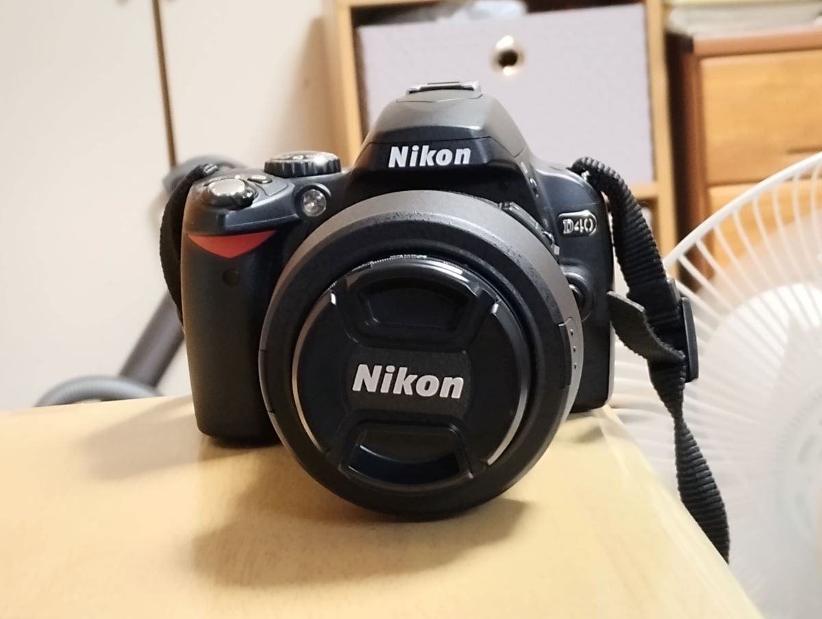 いまさらCCDセンサー低画素の Nikon D40 色の深みは本当か？